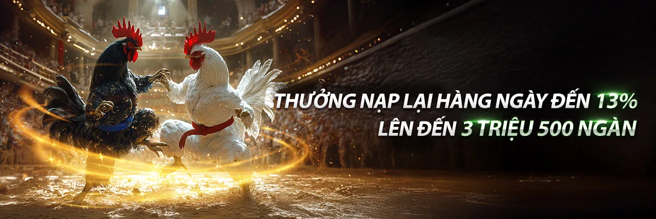 Đá Gà Trực Tuyến 32vin Casino - Các trận đấu gà chọi kịch tính